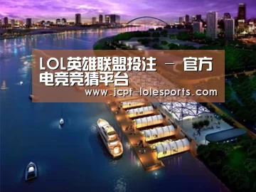 案例展示八
