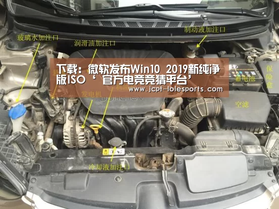 LOL英雄联盟投注 