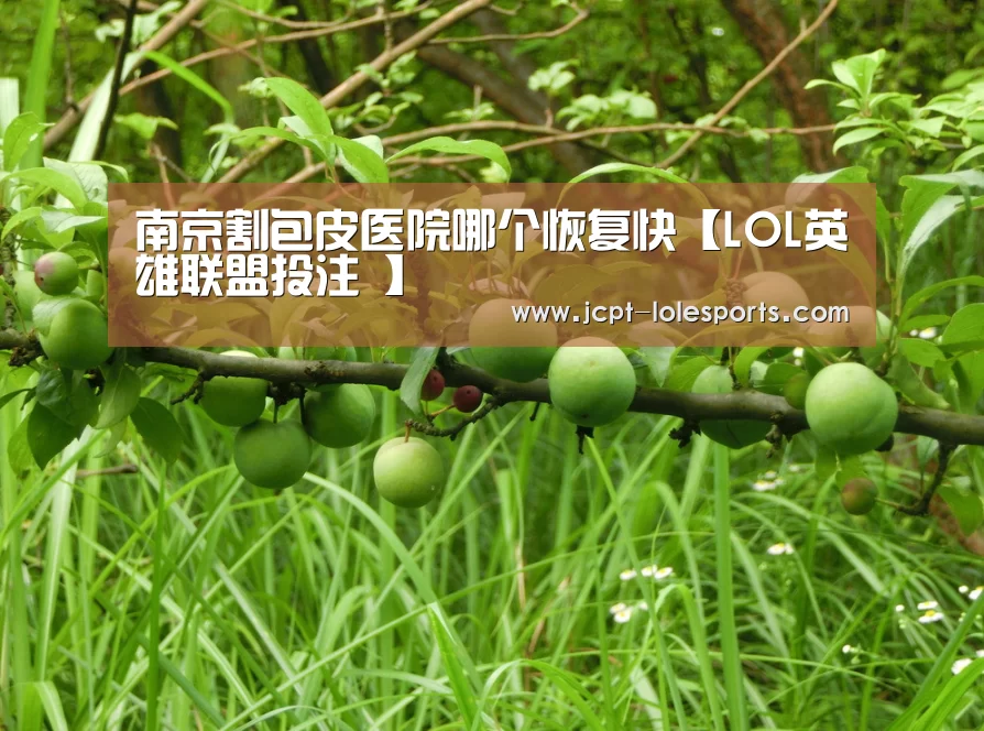 南京割包皮医院哪个恢复快【LOL英雄联盟投注 】(图2) LOL英雄联盟投注