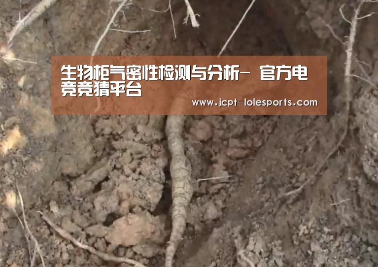 生物柜气密性检测与分析- 官方电竞竞猜平台(图1) LOL英雄联盟投注
