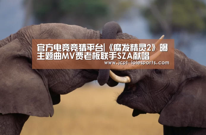 LOL英雄联盟投注 