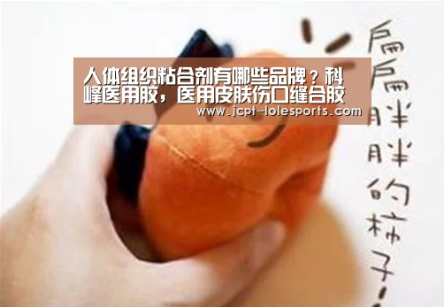  官方电竞竞猜平台